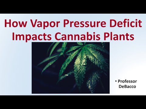 image-What is a good VPD?