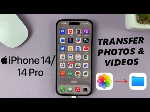 iPhone 14/14 Pro: How To Transfer Photos and Videos From Photos App To Files App