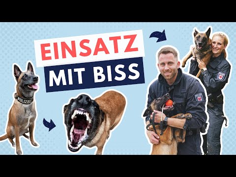Flucht vor Polizeihund: Wer ist schneller? | Vlog #12