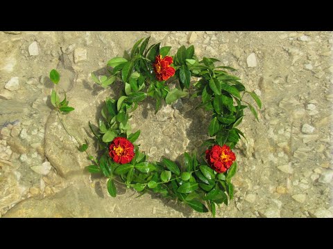 Agata Rymarowicz z zespołem - BARWINEK (live)