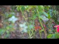 The Universe Of Pictures Part 2 With Motion Fragments Part 1 806