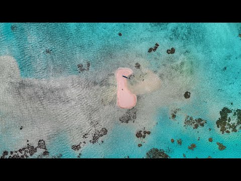 Relaxing Tikehau Tropical South Pacific Atoll  ProRes 422 4k