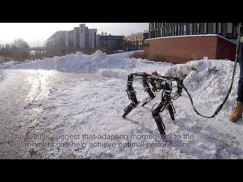 Vidéo YouTube - DLVc0JOWaUM