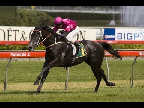 2005 ATC George Main Stakes Day