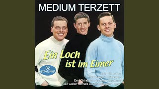 Hasi (Du warst doch lange bei der Stasi) (Neuaufnahme) (Re-Recorded)