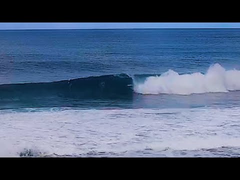 Italo, Kolohe, Owen & more rip Off the Wall on January 26, 2022