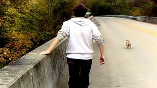 Lets Eat Grenades - Keep Me Sane (Ft.Squishy) Official Music Video