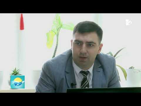 Carte Verde, pentru ce avem nevoie de asigurare în afara țării ?