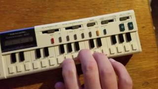 Video thumbnail for Realistic Concertmate 200 playing intro to "Spare Me, Baby" by Egon and the Slimers by alexander levering
