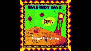 Forget Everything — Was (Not Was)