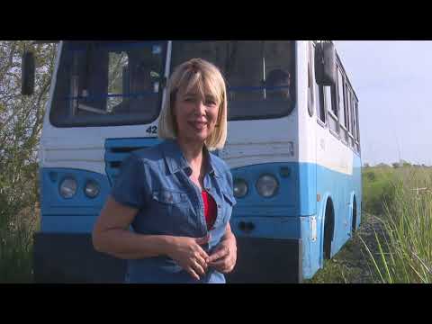 Holguín recupera el servicio de ferrobus beneficiando a personas que viven lugares de difícil acceso