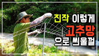 고추밭에는 고추망을 꼭 써보세요 강추!