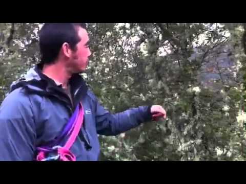 The FEA question 1 - 070412