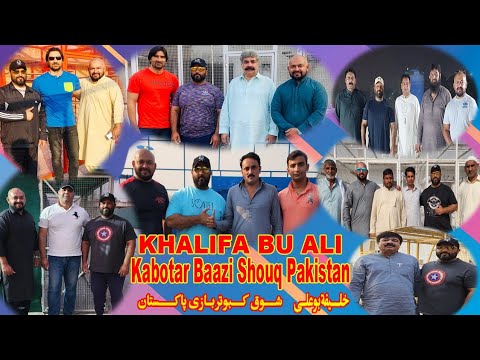 , title : 'Khalifa Bu Ali|SHOUQ|Kabotar baazi in Pakistani|Experience|Pigeons|Facilities|@AJMAN PIGEON CLUB'