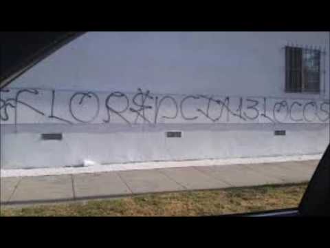 FLORENCIA 13-FLACKO-TRUSTED