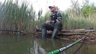 Ссылка