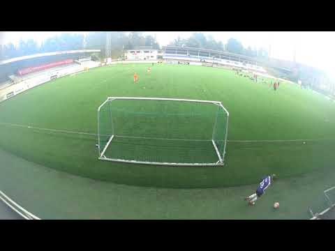 TPV P08 - Ilves keltainen 08