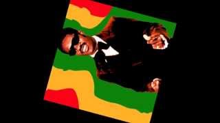 Superstition - Stevie Wonder (Mungo&#39;s Hi-Fi dub mix)