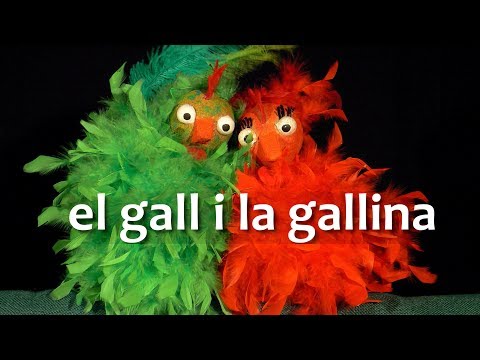 Titelles Pamipipa - El gall i la gallina