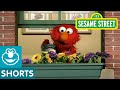 Sesame Street Plants And Flowers Elmo S World