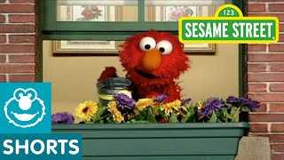 Sesame Street: Plants and Flowers | Elmo&#39;s World