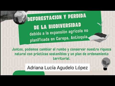 Deforestación y pérdida de la biodiversidad en Carepa, Antioquia. (AGUDELO LOPEZ)