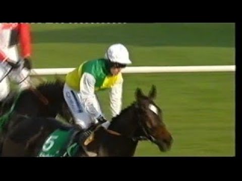 2007 paddypower com Graduation Chase - Cheltenham Open meeting