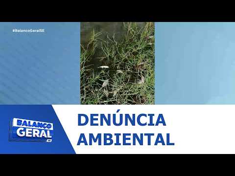 Mortandade de peixes em açude de Graccho Cardoso - BGT