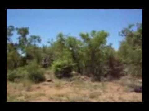 3 200 ha game farm for sale. Waterberg / Vaalwater. Video 05. Gamefarm: 628