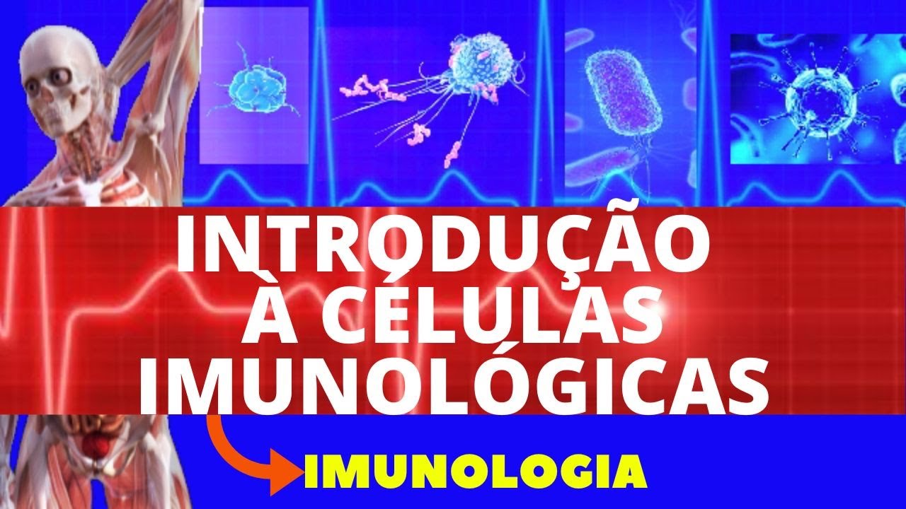 INTRODUÇÃO À CÉLULAS IMUNOLÓGICAS (ENSINO SUPERIOR) - FUNÇÕES E CARACTERÍSTICAS DAS CÉLULAS IMUNES