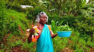 YOU CAN'T BELIEVE💥‼️THIS HAPPENED _ Villagelife.