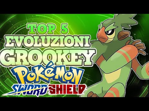 TOP 5 MIGLIORI EVOLUZIONI DI GROOKEY - Pokémon SPADA e SCUDO