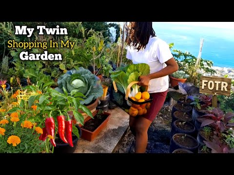 Container Garden Harvest: Epic Food from Small Spaces