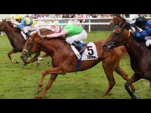 Rückschau auf das IDEE 147. Deutsches Derby von 2016