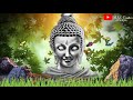 HAPPY BUDDHA PURNIMA 2020 BUDDHA PURNIMA WHATSAPP STATUS बुद्ध पोर्णिमा