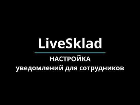 Видеообзор LiveSklad