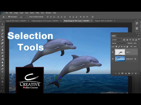 دورة تعليم Photoshop | المحاضرة السادسة | Retouch Tools