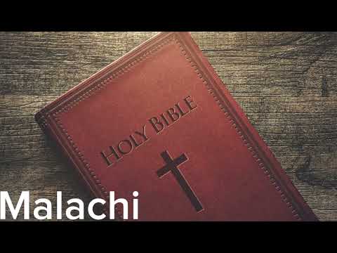English Audio Bible - Malachi (COMPLETE) - New International Version (NIV)