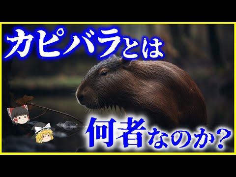 世界最大のげっ歯類