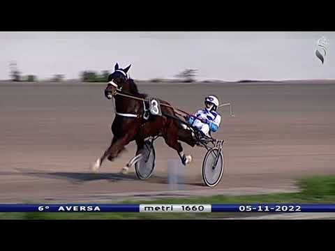 Aversa trotto 5 Novembre 2022 - 6° Corsa
