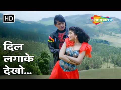 Dil Lagake Dekho — watch video