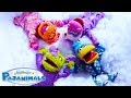 30 Minutes Of Pajanimal Songs Music For Kids Pajanimals