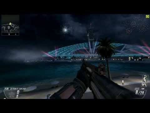 My First Black Ops 2 Gun Sync !