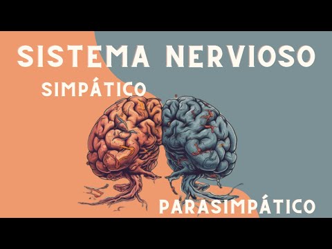 Estado vegetativo, comunicación y neurociencia Estado vegetativo, comunicación y neurociencia