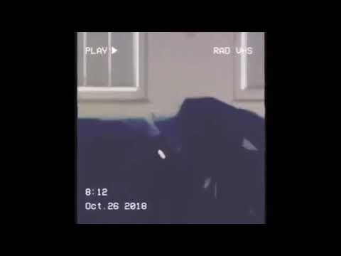 Capital bra  [Für Brüder]