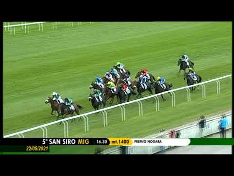 2021.05.22 Premio Nogara (ITA) - Aria Importante