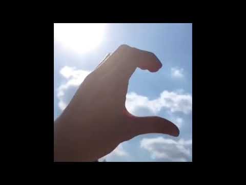 Beautiful Nature| Timelapse