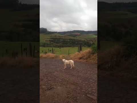 #motorhome serra salgado filho no Paraná