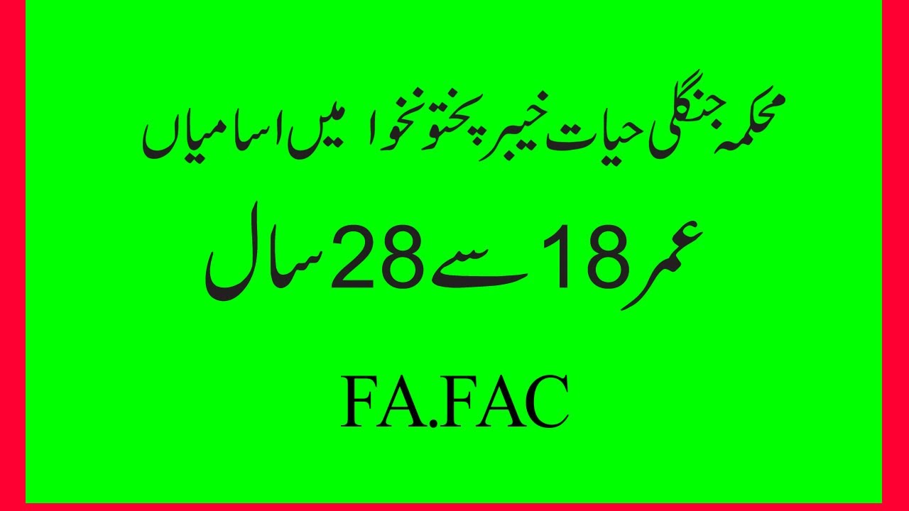 Khyber Pakhtunkhwa latest jobs in forest department    KPK Government Jobs