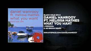 Daniel Wanrooy featuring Melissa Mathes - What You Want